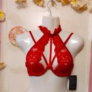 Love You Sexy (32D) Red Lace Strappy Cage Bra